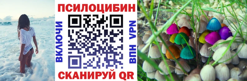 Псилоцибиновые грибы GOLDEN TEACHER  Беслан 